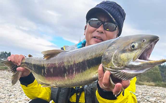 サケの「有効利用釣獲調査」釣行でメスのシロサケが連発！【山形・鮭川】