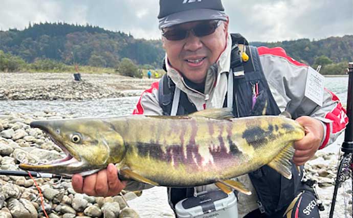 サケの「有効利用釣獲調査」釣行でメスのシロサケが連発！【山形・鮭川】