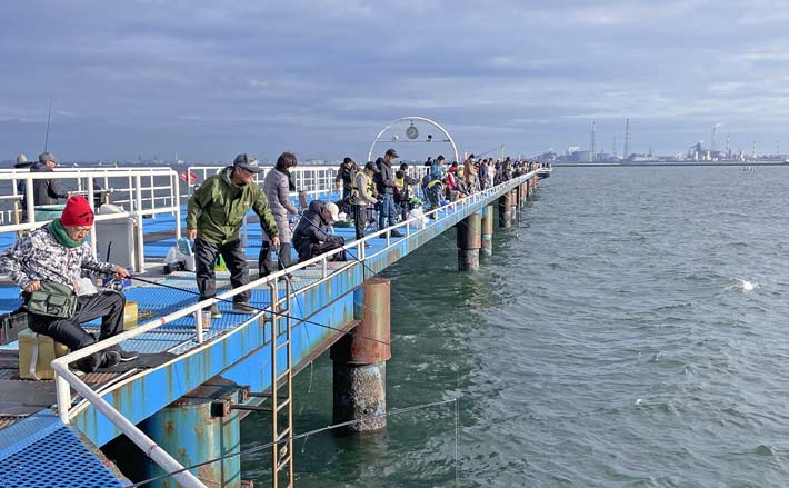 オリジナルメーカー海づり公園』でのサビキ釣りで本命サバにアジを好捕