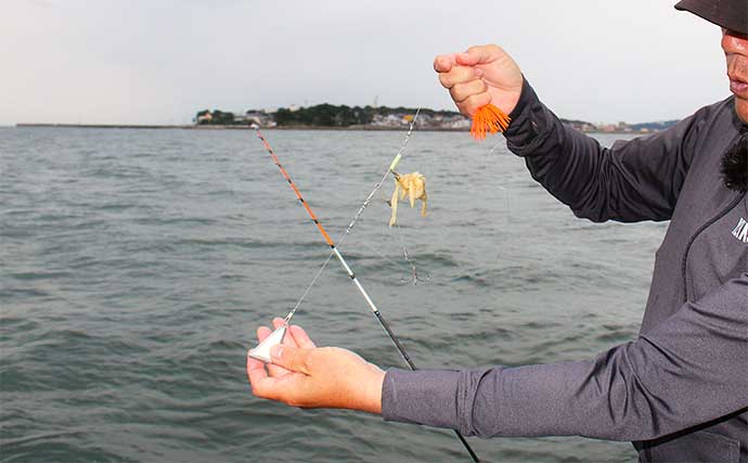 伊勢湾のカットウフグ釣り徹底解説 【基本の釣り方〜釣果に差が出る応用技】