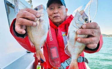 ウタセ五目釣りで小型のマダイ20匹オーバー【愛知・忠栄丸】カワハギも顔出し