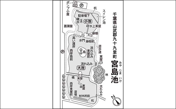 今週のヘラブナ推薦釣り場2024【千葉・宮島池】