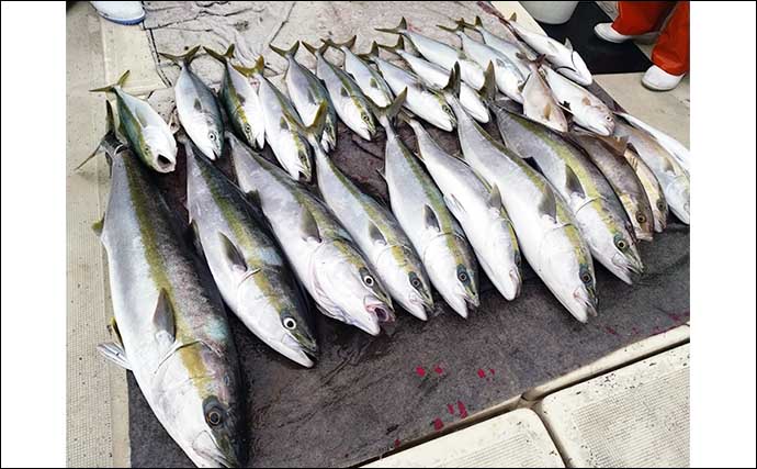 【船釣り釣果速報】落とし込み釣りで青物が絶好調継続中！（長崎・佐賀）