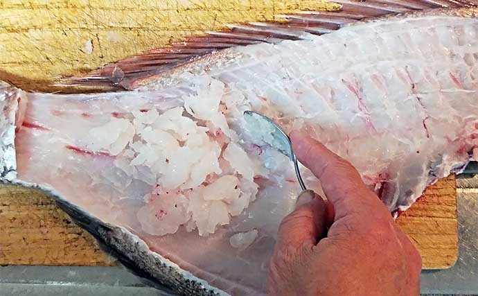 釣魚で作る「食品ロス削減」レシピ：大ダイの香草焼き　大型魚ならなんでもOK