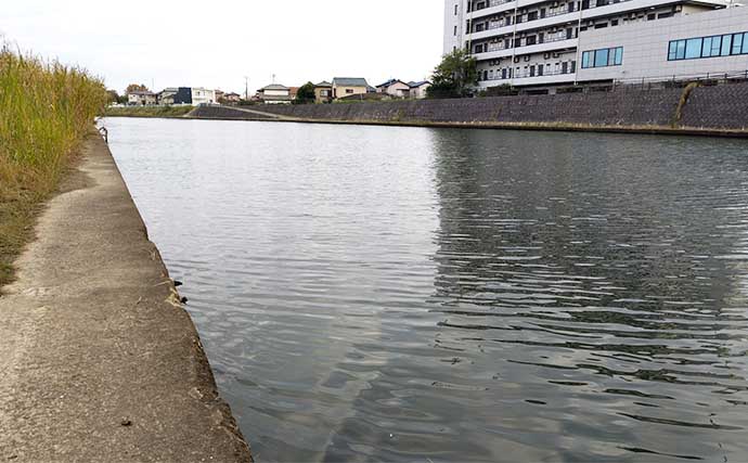 東京湾奥河川のルアーシーバス釣りで40cm級本命【千葉】11月なのにマゴチ釣れて驚き