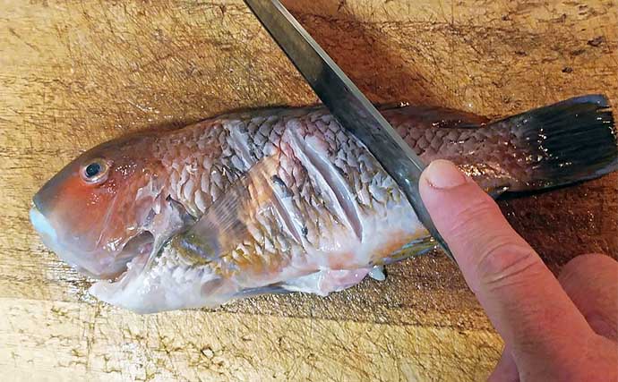 釣魚で作る「簡単」レシピ：イラのサッと煮　煮る時間はたったの3分でOK