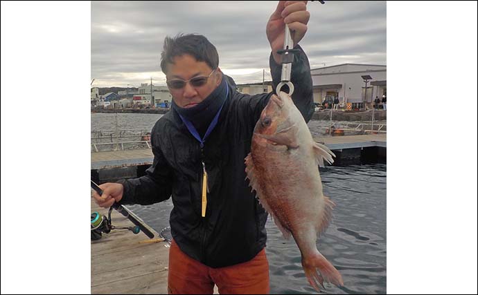 海上釣り堀『J’sフィッシング』でマダイに青物を好捕【神奈川・城ヶ島】放流後に連発