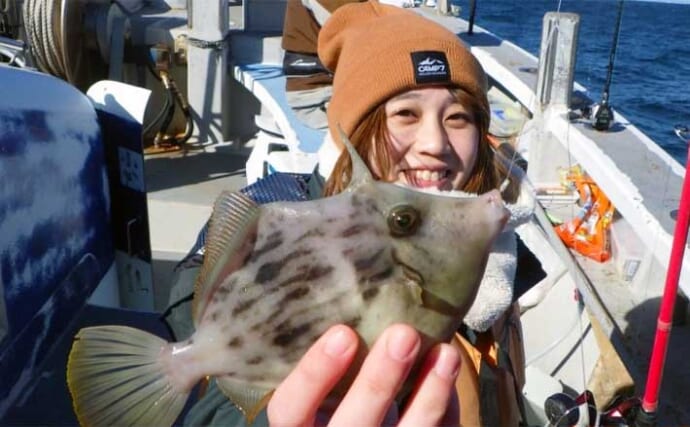 【船のエサ釣り釣果速報】伊良湖沖カワハギ＆フグ便で肝パンカワハギが続々！（愛知）