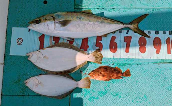 【船のエサ釣り釣果速報】伊良湖沖カワハギ＆フグ便で肝パンカワハギが続々！（愛知）