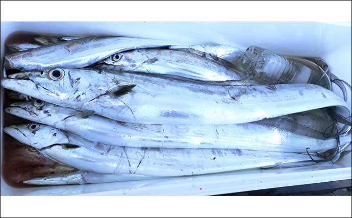 【船のエサ釣り最新釣果】50cm級含め良型のシロアマダイが好反応中！（三重）