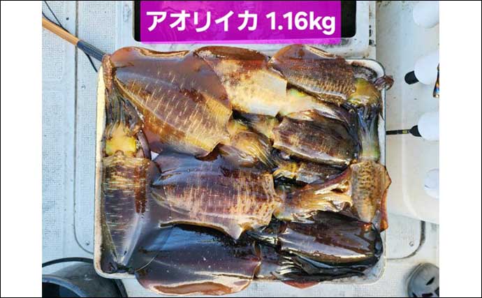 【沖のルアー釣果速報】ジギングで30kg級キハダマグロが見参！（愛知・三重）