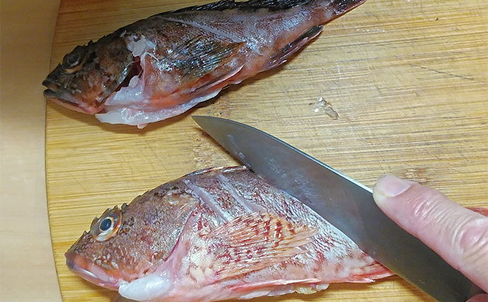 釣った魚で作る「ご飯のお供」レシピ：アラカブの梅煮　ハチミツ梅が決め手