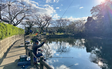 今週のヘラブナ推薦釣り場2024【静岡・船越堤の婦池】