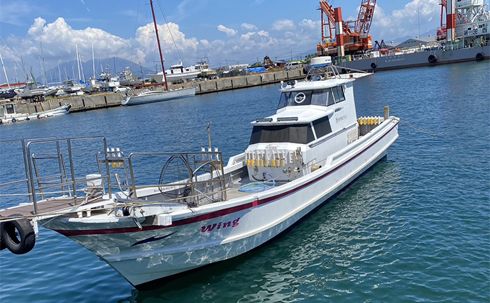 錦江湾遠征ルアー釣行でオオモンハタにマダイにカンパチが大爆釣【鹿児島・遊漁船Wing】