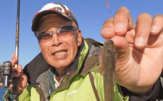 チョイ投げ釣りで狙う良型ハゼ【千葉・木更津内港北公園】60尾超えの大漁を記録！