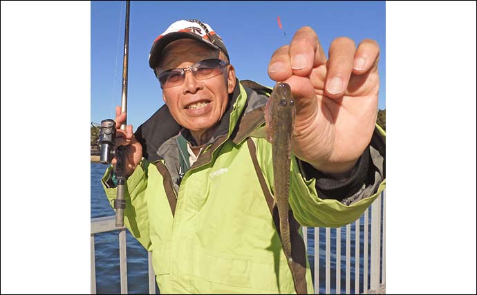 チョイ投げ釣りで狙う良型ハゼ【千葉・木更津内港北公園】60尾超えの大漁を記録！