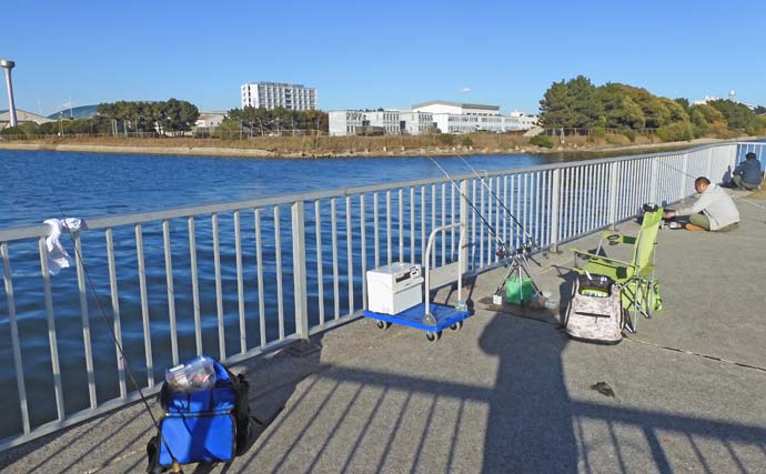 チョイ投げ釣りで狙う良型ハゼ【千葉・木更津内港北公園】60尾超えの大漁を記録！