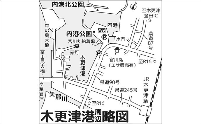 チョイ投げ釣りで狙う良型ハゼ【千葉・木更津内港北公園】60尾超えの大漁を記録！