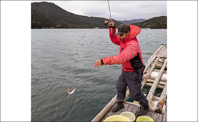 イカダでのフリースタイルフィッシングでメッキにカマスにアジと多彩【三重・内瀬釣りセンター】