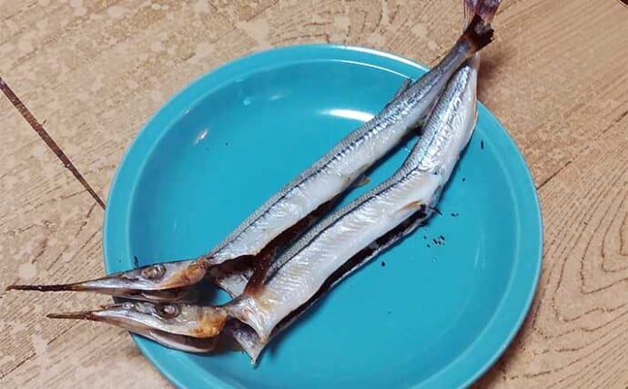 釣魚で作る「1匹まるごと」レシピ：サヨリの丸干し　超薄塩がポイント