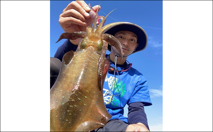 陸っぱりデイエギング釣行で700g頭にアオリイカ20尾をキャッチ【島根】