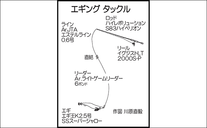 陸っぱりデイエギング釣行で700g頭にアオリイカ20尾をキャッチ【島根】