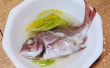 釣魚で作る「体ぽかぽか」レシピ：小ダイと白菜のスープ　野菜に魚の旨味染…