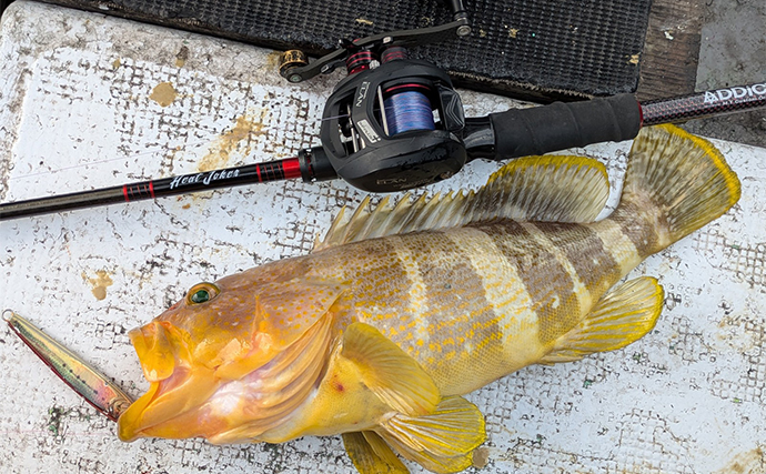 リレー便でティップラン・ジギング・タイラバに挑戦【三重】レア魚の大型ホウキハタが登場！