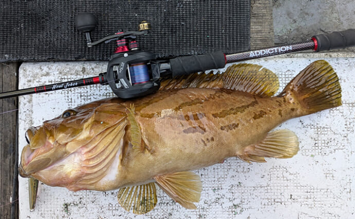 リレー便でティップラン・ジギング・タイラバに挑戦【三重】レア魚の大型ホウキハタが登場！