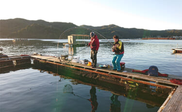 冬の海上釣り堀で青物＆マダイを攻略する方法　より多くの種類のエサを用意…