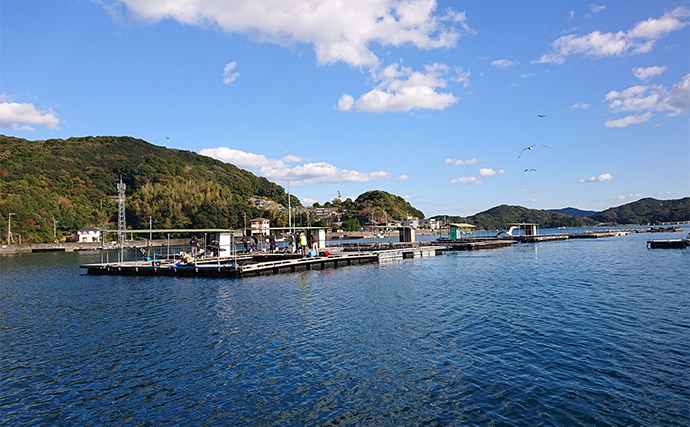 冬の海上釣り堀で青物＆マダイを攻略する方法　より多くの種類のエサを用意しよう