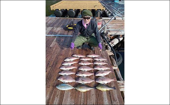 【海上釣り堀最新釣果】子供たちと一緒にお正月食材のマダイに青物を狙おう！（愛知・三重）