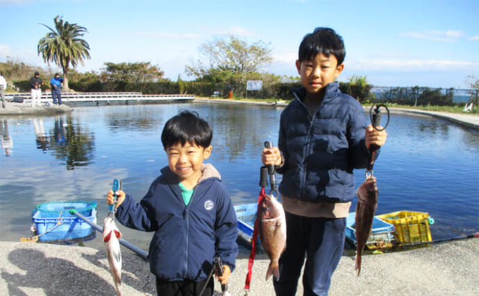 【海上釣り堀最新釣果】子供たちと一緒にお正月食材のマダイに青物を狙おう！（愛知・三重）