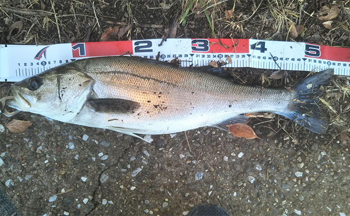 「無理やり釣りに行く必要はなし！」年始年始の釣行プランの注意点とは？