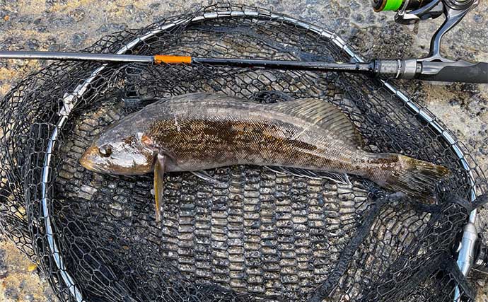 悪天候で釣りに行けない時の釣り人の過ごし方【札幌市内の釣具屋を巡ってみた】