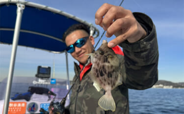 「カワハギ釣りは舐めちゃダメ！」ボート釣行で危うくボウズに【神奈川・葉…