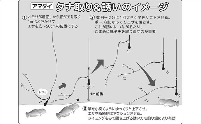 冬の人気ターゲット「アマダイ釣り」徹底解説 【タックル・タナ取り・誘い方・アタリの出方】