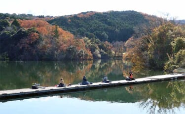 今週のヘラブナ推薦釣り場2025【静岡・早霧湖】