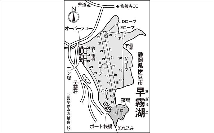 今週のヘラブナ推薦釣り場2025【静岡・早霧湖】