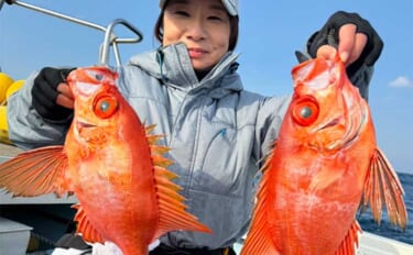 【船のエサ釣り釣果速報】泳がせ釣りでチカメキントキに大型根魚が好反応中…