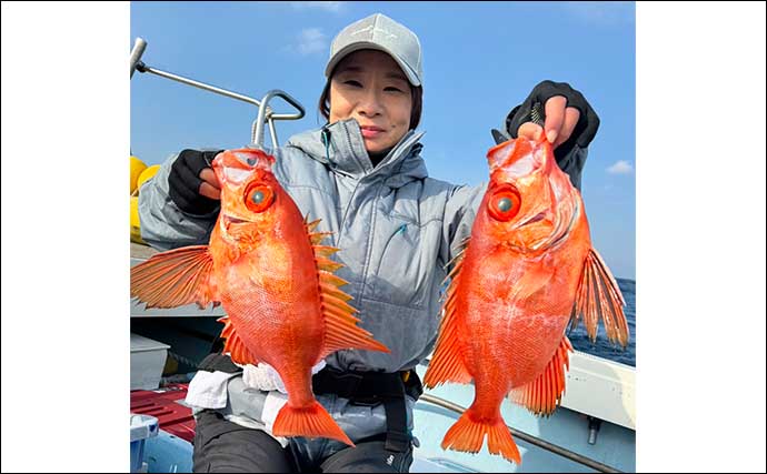 【船のエサ釣り釣果速報】泳がせ釣りでチカメキントキに大型根魚が好反応中！（福岡）