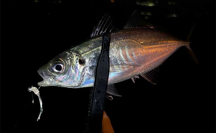 海で魚が釣れる時間帯は【上げ七分と下げ三分】活性が上がるワケとは？