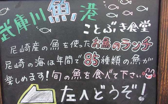 知っておきたい【武庫川一文字渡船の利用の際の注意点】釣り場選択の自由がないことも？