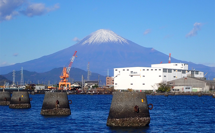 初めての「クロダイかかり釣り体験コース」で本命連発大満足！【静岡・ふじや釣舟店】