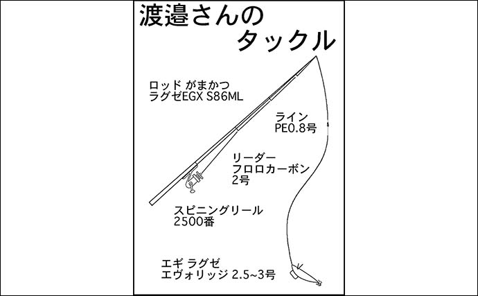 イカダエギング懇親会で良型続出【三重・日乃出屋】優勝者は1kg超えアオリイカをキャッチ