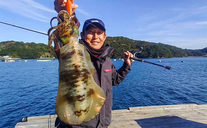 イカダでのノマセ釣り＆エギングの二刀流が熱い【三重・迫間浦】1.3kg頭に大型アオリ手中