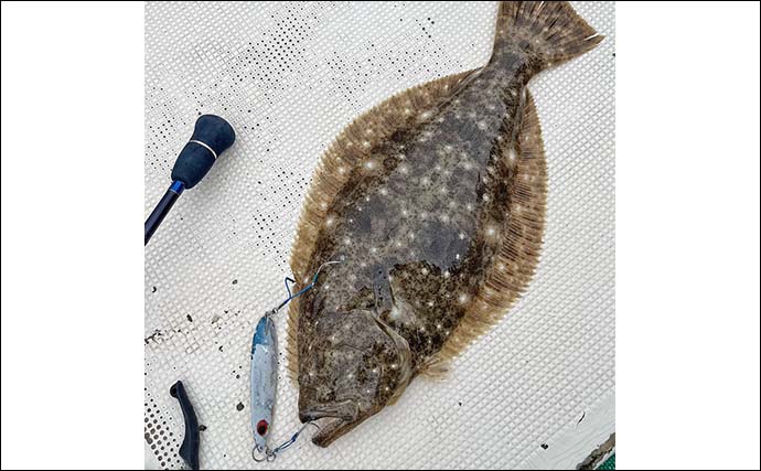 沖の五目ジギング釣行でマダイにブリにヒラメと多彩魚種キャッチ成功！【福岡・喜代丸】