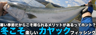 【冬こそカヤックフィッシングをオススメしたいワケ】4選　釣行費用が夏よりも安い？