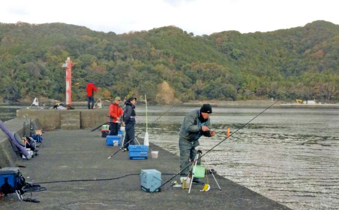 堤防サビキ釣りで本命アジ8匹手中【三重・奈屋浦漁港】多彩なゲストの攻撃に苦戦