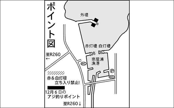 堤防サビキ釣りで本命アジ8匹手中【三重・奈屋浦漁港】多彩なゲストの攻撃に苦戦